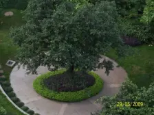 满五唯一 免个税 看公园 视野好