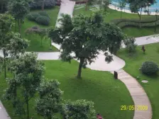 顺祥壹街区 1室1厅 南 北