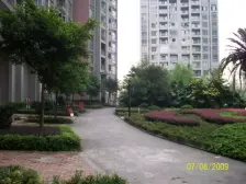 万象汇 大渡口公园和美德公园 视野好