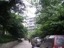 新农八村 2室2厅 东南