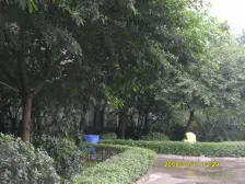 步行街 天使花园二房53万