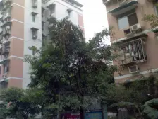 正规一室一厅,带花园,交通便利