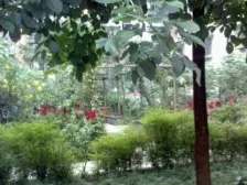 春晖路 翠柏小区二房25万