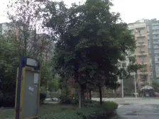 春晖路 翠柏小区二房