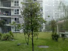 步行街大户型,小高层,近轻轨,近商圈