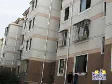 青苑新村一区 楼层好精装修 随时看房