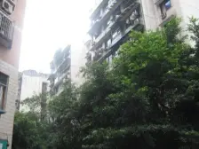 赛格尔 1室0厅 南