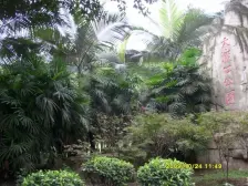 大堰一村低楼层精装拎包入住两室