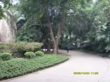 佣金3666元 大堰 大堰一村三房25万