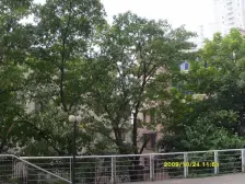 精装一楼 可开店铺 老商圈 配套成熟 人流量大