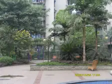 为何不闹中取静,尽享城市繁华。