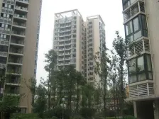 杨家坪 利丰达三房60万