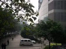 新山村 君悦天下四房86万