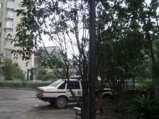 阳明佳城 1室1厅 东南