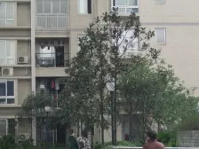 阳明佳城 性价比高到你不信