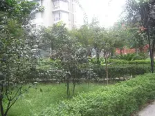 杨家坪 劳动一村二房60万