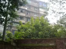 翠园村 2室1厅 东南