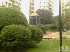 区府 月光村(大渡口)二房26万