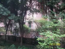 钢花苑 2室1厅 东南