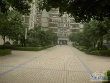 九街 网红打卡地 海洋之星大两房出售