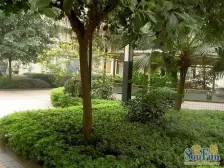 观音桥 海洋之星一房68万