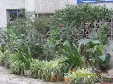 九宫庙 瑞兴综合楼二房