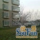 龙熙顺景丁区4室1厅东西