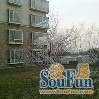 龙熙顺景丁区3室1厅东西