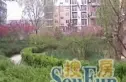 幸福大街小区实景图