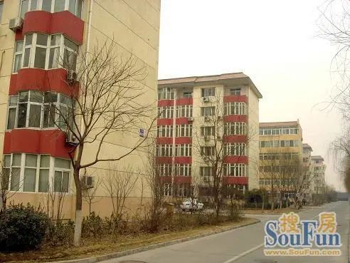  ���⡤���߼ҡ�������ܰ��Ԣ��3�� 