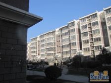 鹿海园三里1室1厅南北
