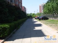 双桥中路10号南院2室1厅南北