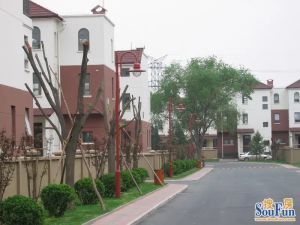 吉晟别墅三期F户型全明格局没有遮挡看房方便靠谱出售