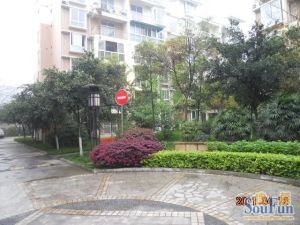 柳城华厦 2室1厅 东南